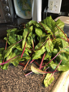 A pile of beet greens.