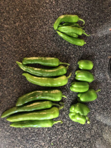 A variety of peppers on a granite counter.