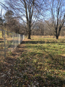 A fence line with a worn path right by the fence.