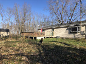 View of house and deck from yard. German Shepherd in center.