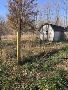 A fenced area in foreground, a barn in background with a compost system to the left of the barn. 