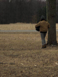 A woman holds a bucket and broadcasts biochar onto a newly seeded meadow covered with fall leaves.