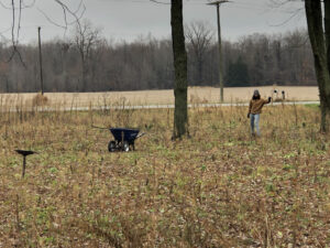 Woman and wheelbarrow in leaf-covered fall meadow.