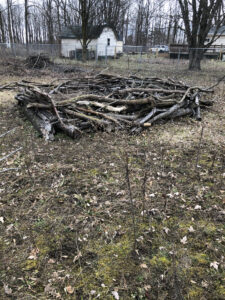 a circle of horizontally laid branches in a field.