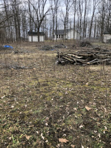 Piles of fallen branches scatter a field. A white house and barn are in the background, surrounded by leafless trees 