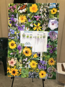 A poster full of flower photos and outlining the advantages of planting native flowers.