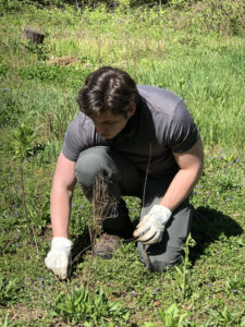 A white man with brown hair and white gloves, dressed in gray, finishes planting a small seedling.