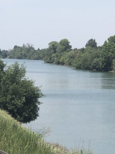 A calm, wide river has small trees on each shoreline.