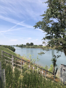 An old wooden ramp in the foreground, going down to a dock on the Sacramento River, behind. The river's edges are lined by small trees.