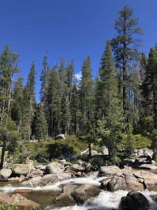 Granite boulders and conifers behind a river with white and blue water.